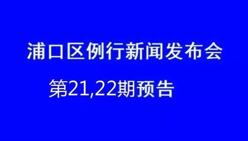 姜河区新闻今日头条,聚焦区域发展新动态，共话民生福祉新篇章