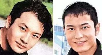 明星整容在哪做,探寻全球热门整形机构