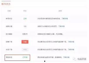 头条制作成绩单,盘点年度热点事件与辉煌成就