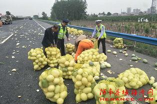 哥斯达黎加吃瓜群众,吃瓜群众的欢乐盛宴