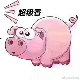 表情包猪吃瓜,揭秘猪猪的“八卦”生活