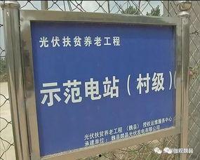 魏县新闻头条2010,聚焦重大事件与民生动态