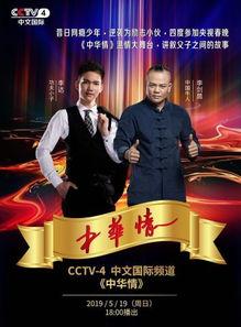 中央四套节目在线观看,全球视角下的中国故事
