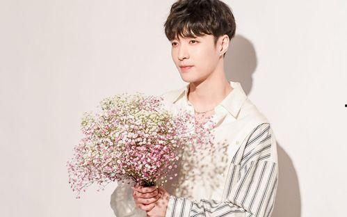 梦兴的明星,揭秘明星背后的追梦之路