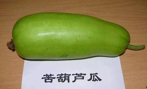 吃瓜不能甜,探寻美食与味觉的奇妙奥秘