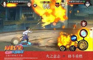 新忍者爆料图片大全集视频,图片大全集视频揭秘忍者世界