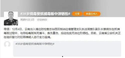 新闻头条浏览量,浏览量飙升，揭秘热门新闻背后的故事