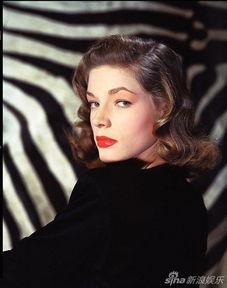 东北好莱坞明星,璀璨明星闪耀的璀璨星空