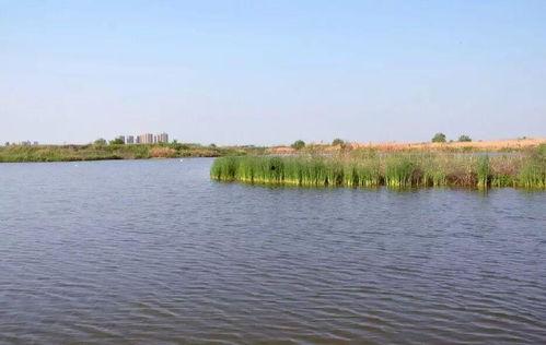 西安渭河生态区头条,绿色画卷中的生态宜居新典范