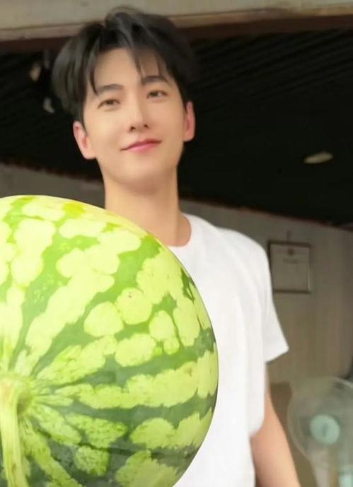 吃瓜青年真实长相,揭秘吃瓜青年的真实面容