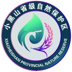 龙陵小黑山最新新闻头条,最新进展与影响揭秘