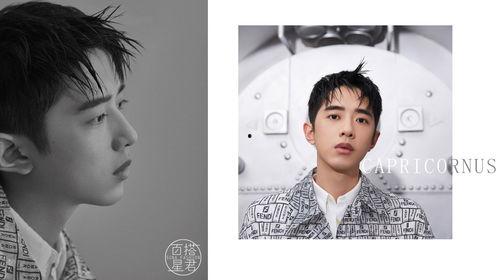 魔蝎座的男明星有,揭秘星座魅力男星