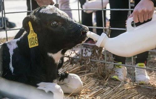 中国最牛的网红地址,揭秘网红背后的奢华生活