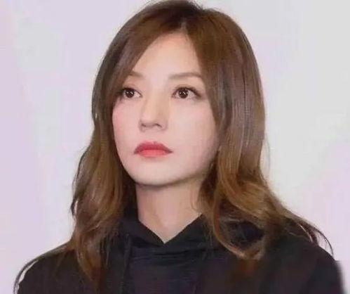 新加坡明星资产多少,财富盛宴背后的明星人生