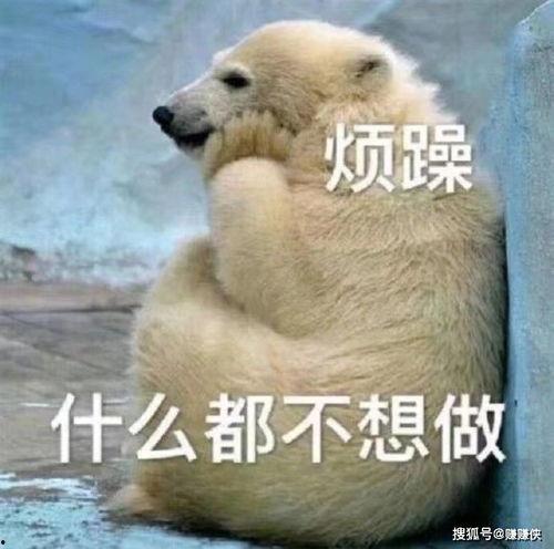 看生活的吃瓜群众图片,吃瓜群众视角下的生活百态