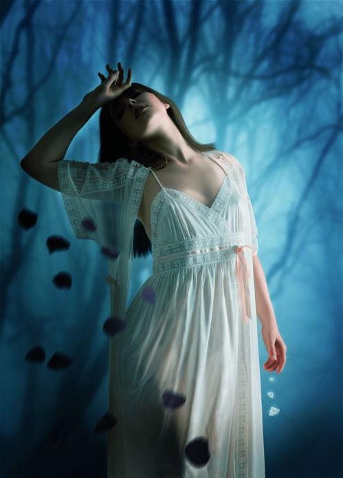 午夜森林合成明星,明星诞生的神秘之地