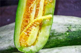 网红条子吃瓜,揭秘娱乐圈背后的秘密与真相