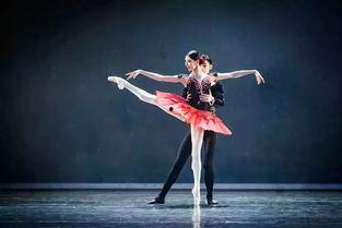 明星日地舞,闪耀舞台的璀璨瞬间