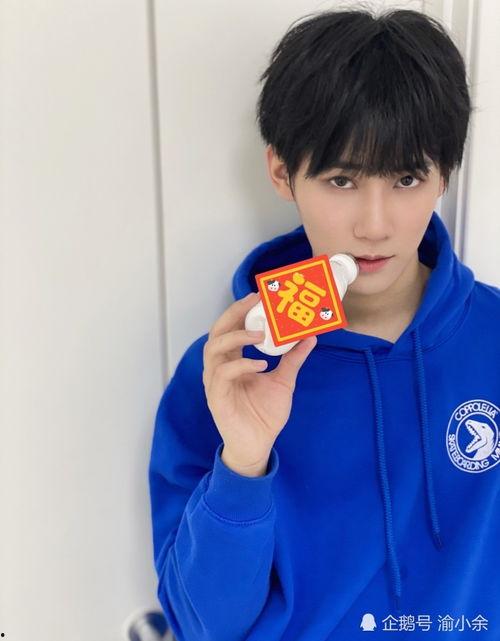 14岁左右男明星,14岁少年明星的成长之路