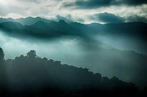 123网军和红,揭秘网络舆论背后的力量