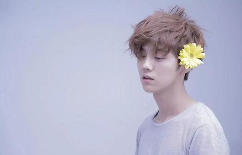 星座明星推荐,揭秘他们的星座魅力与演艺事业