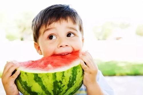 吃瓜摆烂在线阅读