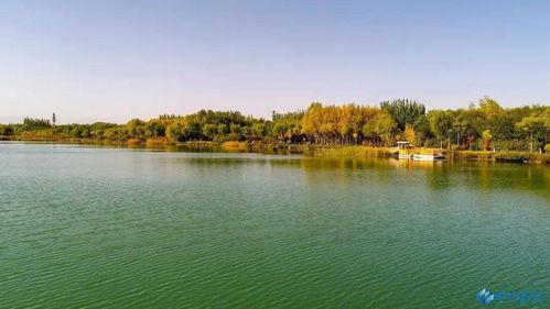 今日芦水湾头条,揭秘今日热点事件背后的真相