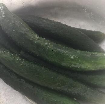 敲开吃的白色瓜,探索白色瓜的甜蜜诱惑