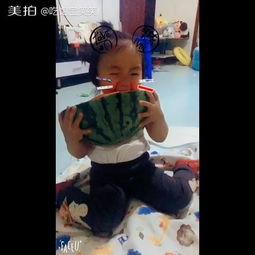 有趣的亲子吃瓜视频